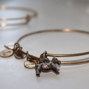Alex and Ani dog monopoly bracelet